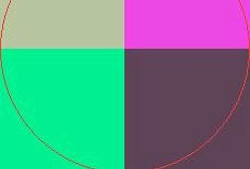 Elit feugiat ideo venio.